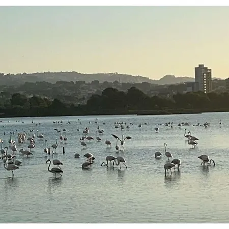 Uitzicht Op De Oceaan * Calp