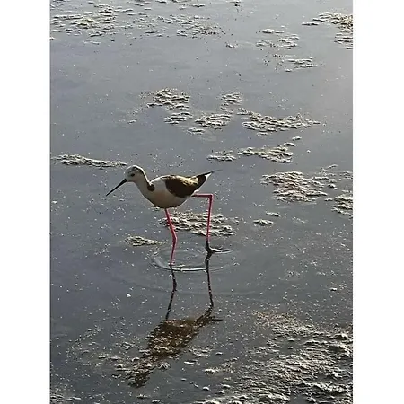 Ferienhaus Uitzicht Op De Oceaan Calp