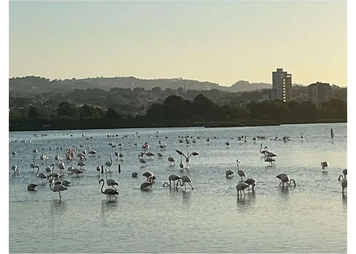 Uitzicht Op De Oceaan * Calpe