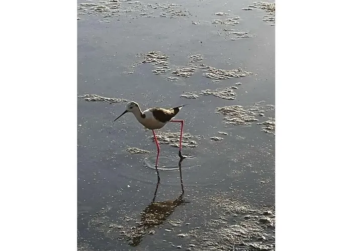 Holiday home Uitzicht Op De Oceaan Calpe